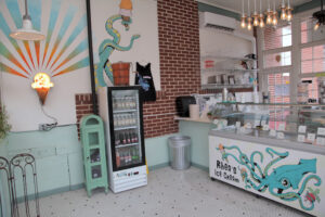 Rhea's Ice Cream - Gruene - New Braunfels