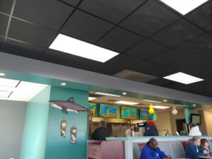 Shark's Fish and Chicken - Merrillville