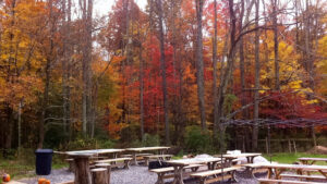 The Biergarten @ Arrowhead Bike Farm - Fayetteville