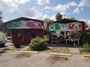 Tortilleria El Gallo - Plant City